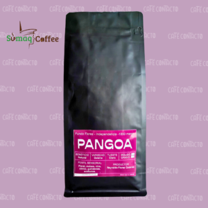 Café Geisha - Sumaq Coffee