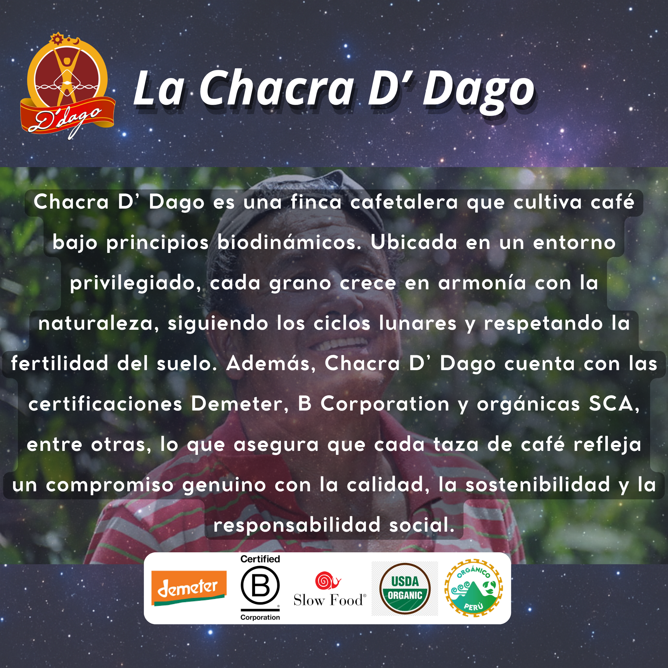 Dago Resumen
